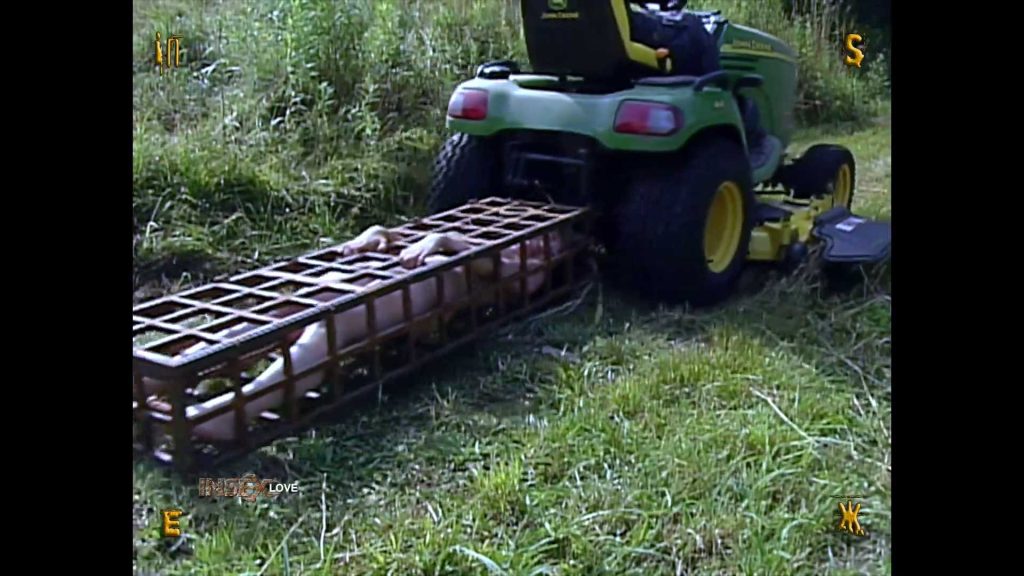 20250829221347546-10