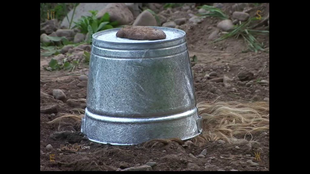 20250829221709461-12