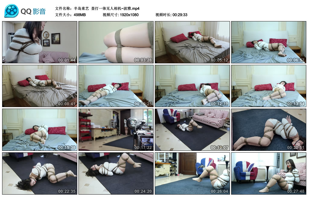 半岛束艺 查打一体无人相机~波雅-逍遥自在