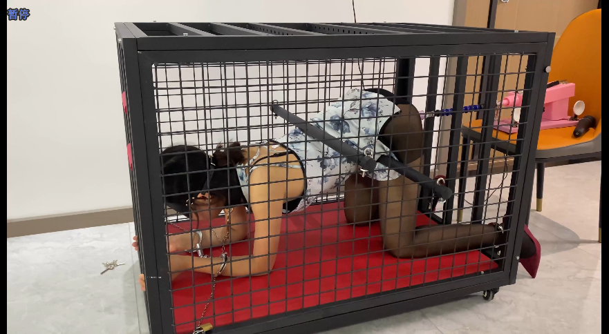 Snipaste_2025-08-02_14-22-19