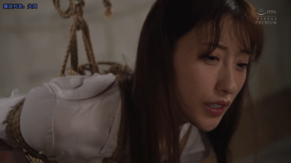 Snipaste_2025-08-04_16-26-44