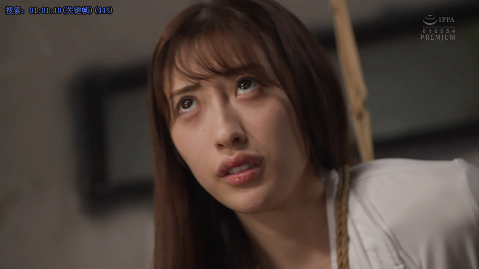 Snipaste_2025-08-04_16-29-09