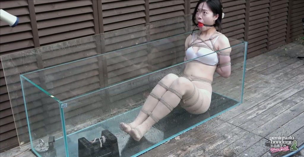 d8ad497cc1b0fac8e62e49cd1fa333ab