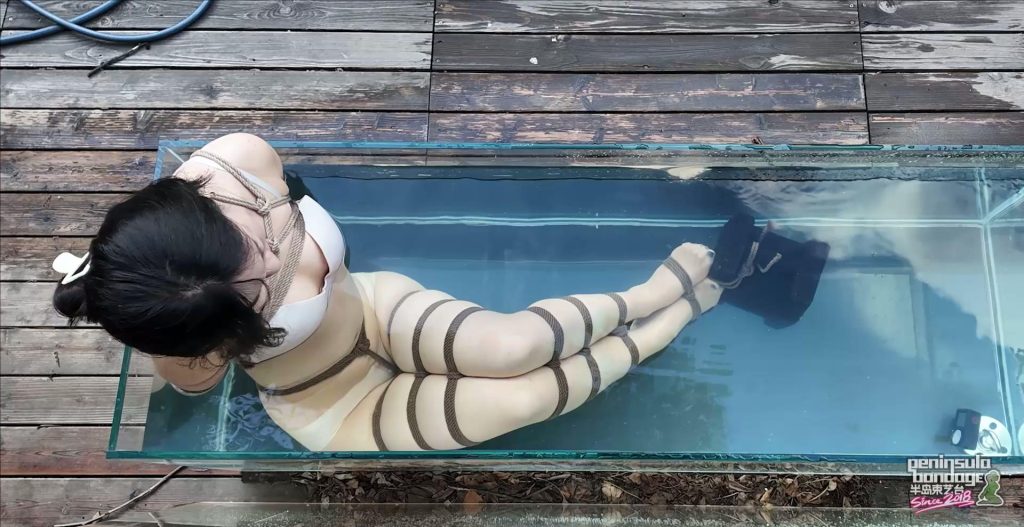 f4f827bf1aa78737f80b44a03eee06ed