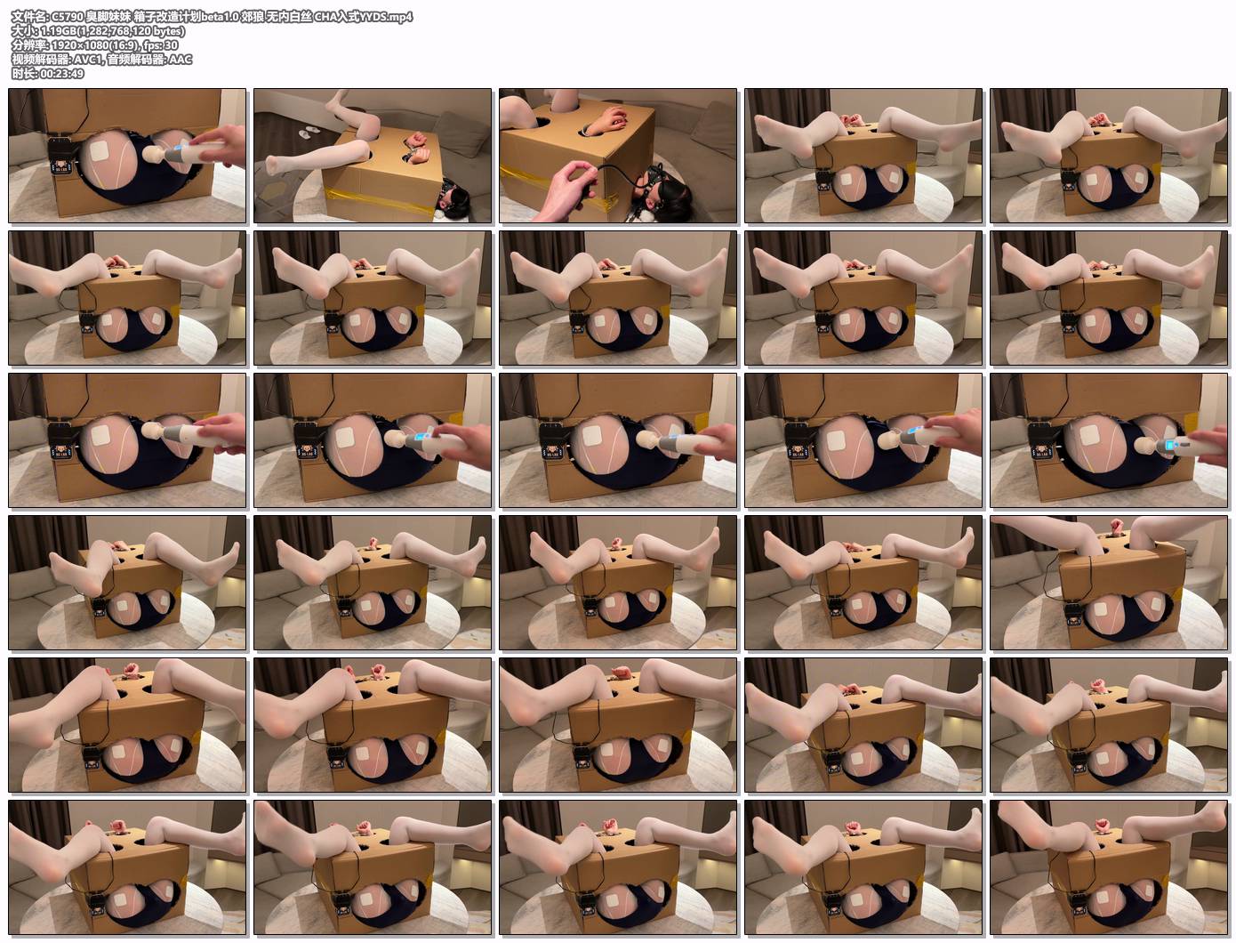 臭脚妹妹 箱子改造计划beta1.0 郊狼 无内白丝-逍遥自在