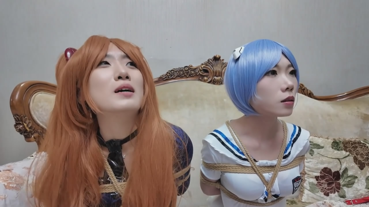 164043pddvds505xfof8co