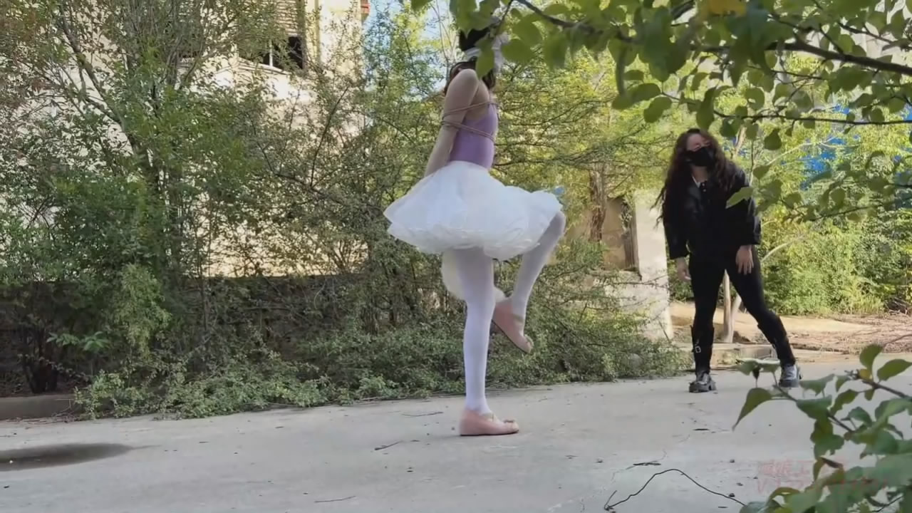 180138wz5q8q7mdx24779z