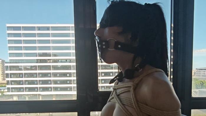 20250917113552665-231206m459px43y8yf8py4