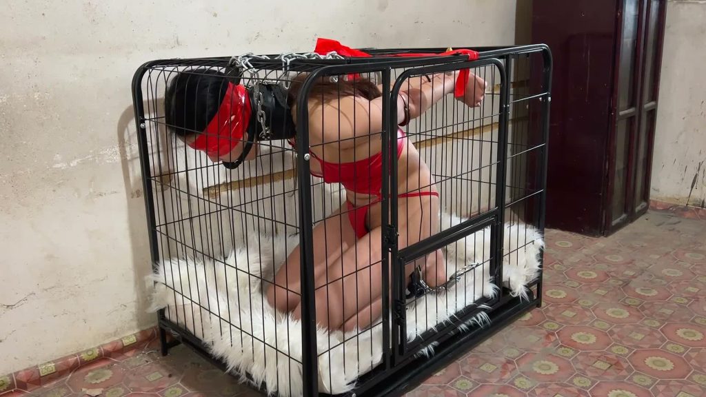 【zhangyang】鬼节的故事——逃脱游戏Ⅱ-逍遥自在