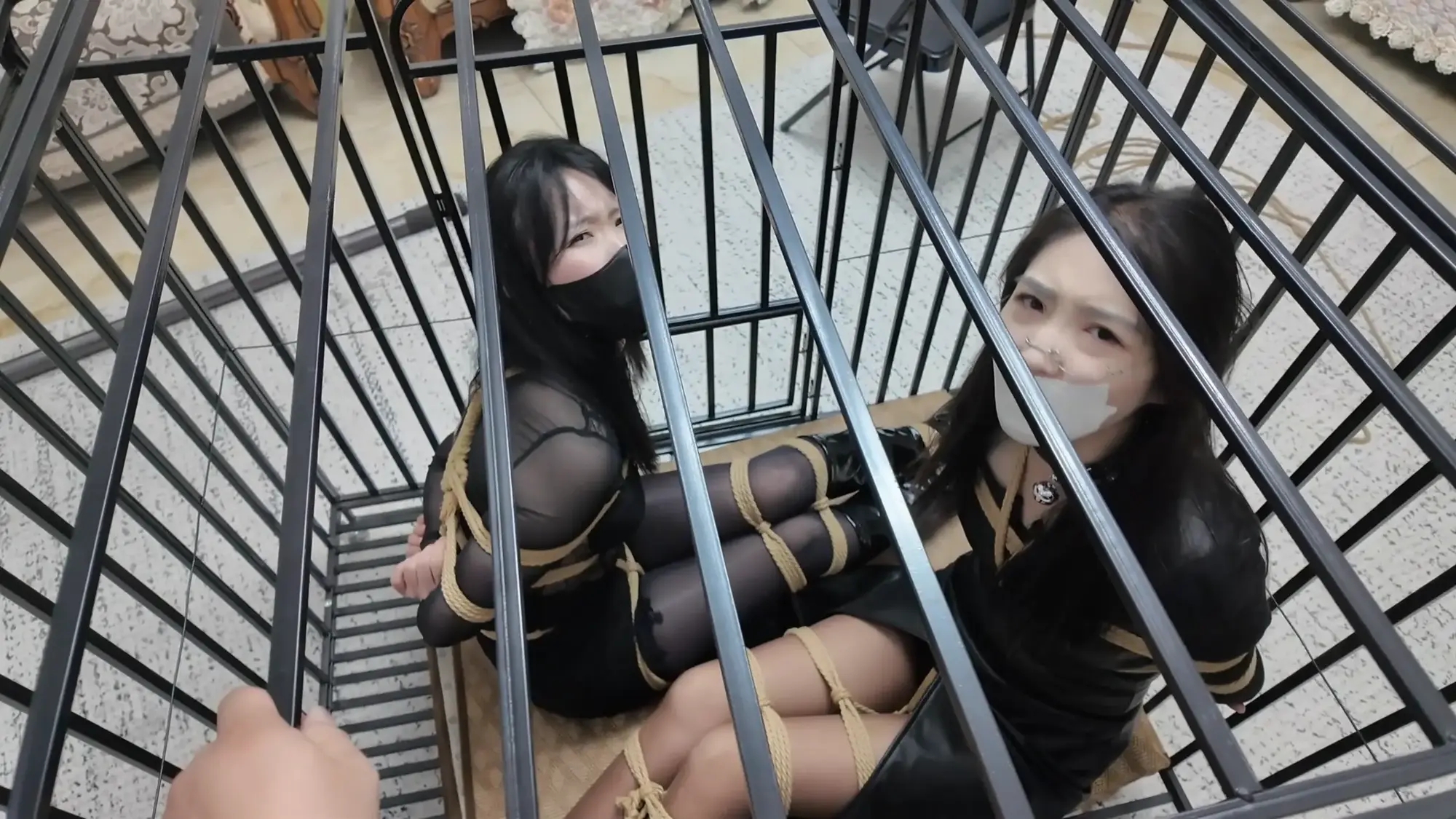 枫叶工作室《彩虹与黑猫 新美人捕获 女王的余兴游戏》-逍遥自在