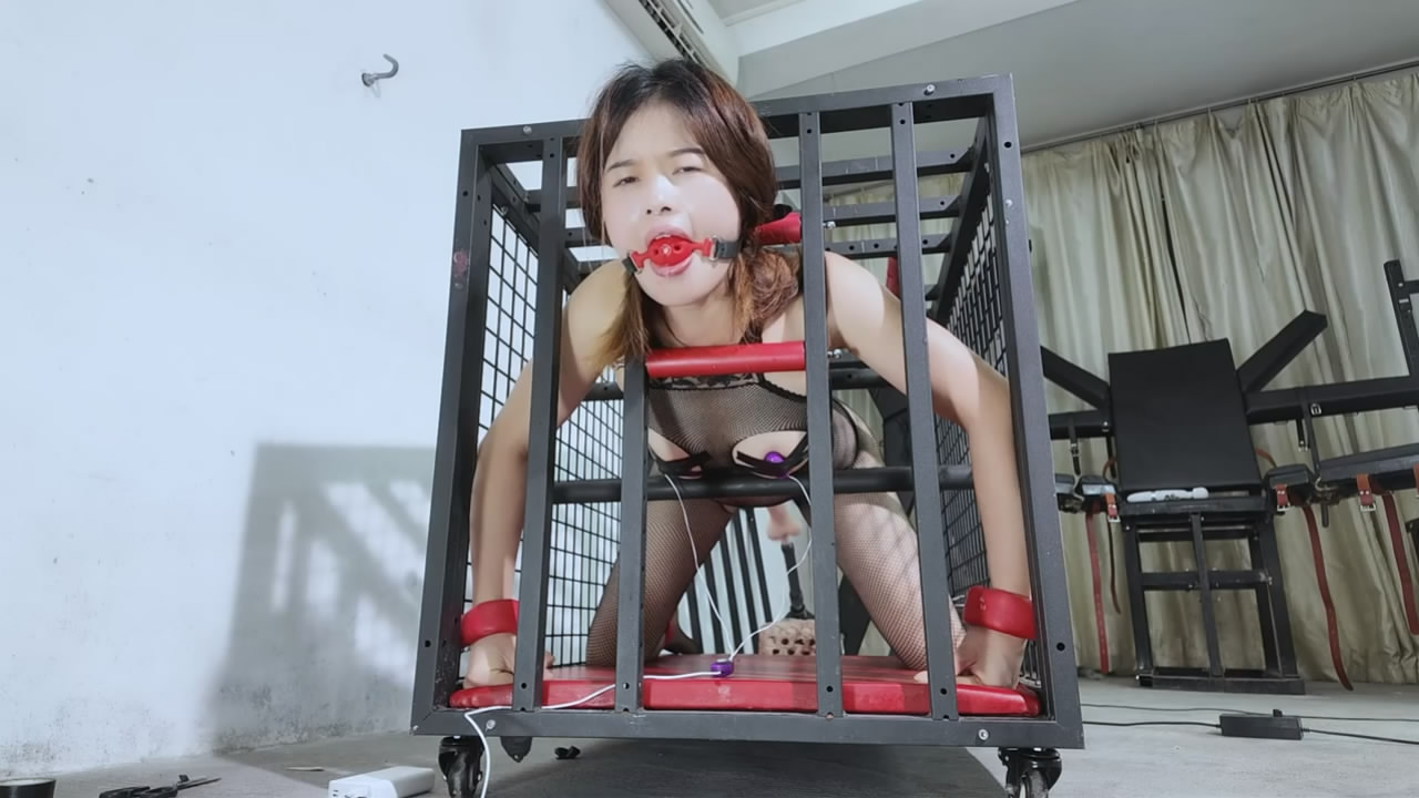 ca407c42de20250926101819