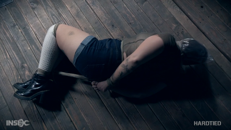 【欧美绳艺】绳缚胖胖女孩藤条的惩罚-逍遥自在