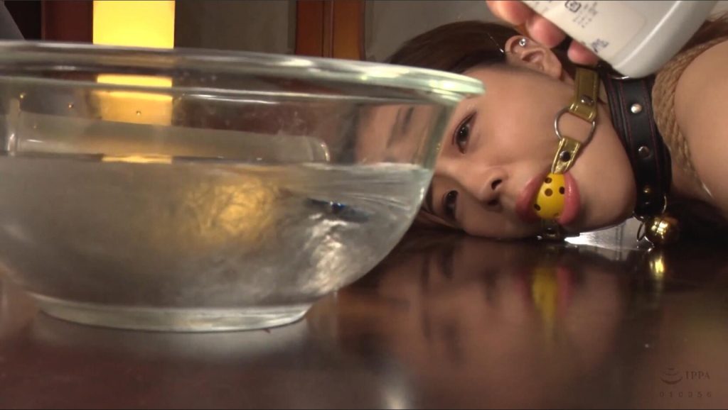 20251017141225847-14