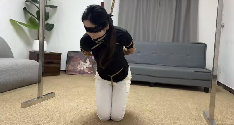 金宝工作室 女搜查官劫难-逍遥自在