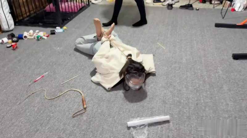 三五小脚工作室-被霸凌到崩溃的瑾初（新模 瑾初）-逍遥自在