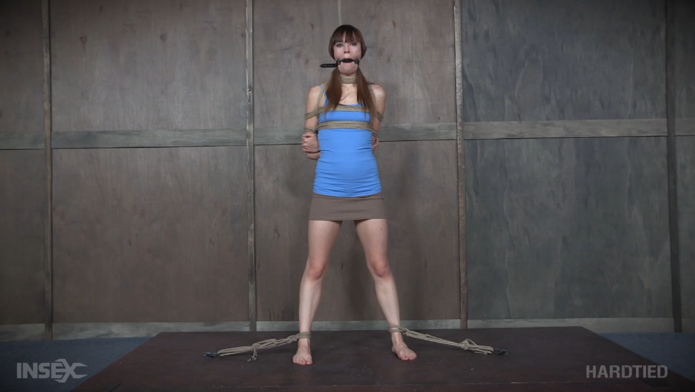 【欧美绳艺】刑讯拷问中的女M-逍遥自在