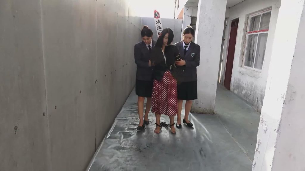 【梨花雨】月坠花折-逍遥自在