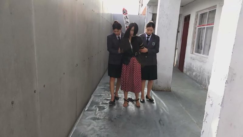 【梨花雨】月坠花折-逍遥自在