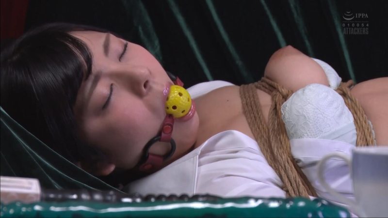 【日韩绳艺】绳缚捆绑KB被欺骗的黑丝奴隶美女极度深喉羞恥姦淫调教责罚-逍遥自在