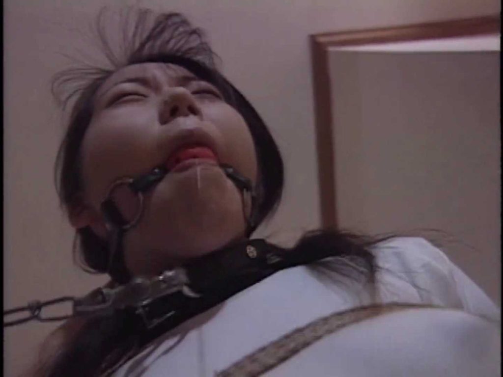 20251023210147443-20