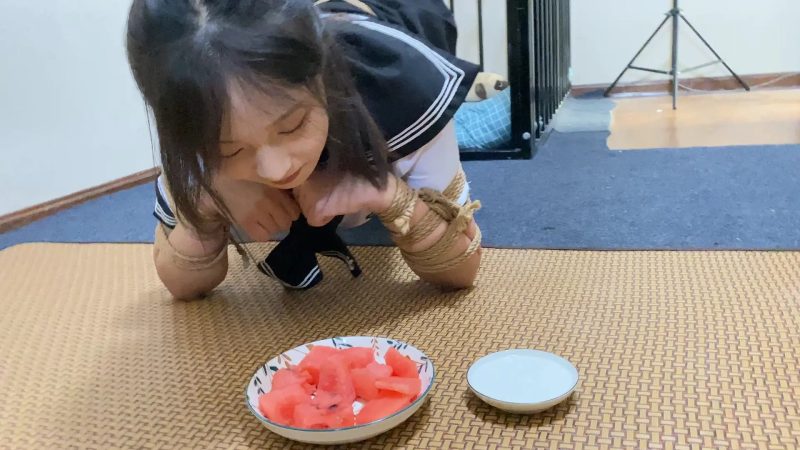 【山鬼工作室】圈外素人动动被主人开发成为k9，爬行，舔舐，蹭主人的手讨好主人，乖乖的在笼子里睡觉。像狗一样吃饭喝牛奶。-逍遥自在