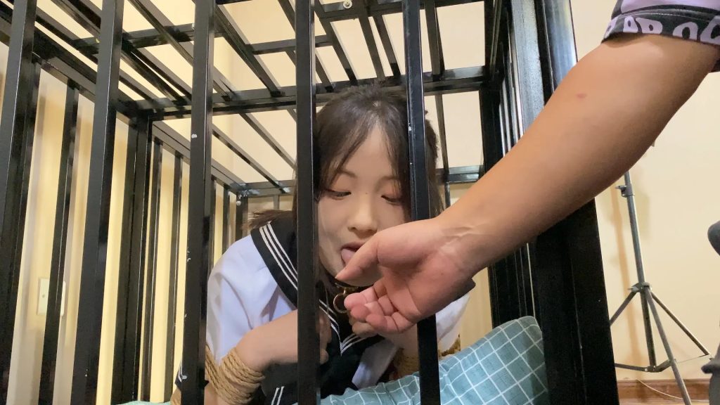 20251025095207102-157efd070bd7dd144a37efa65b771fe9