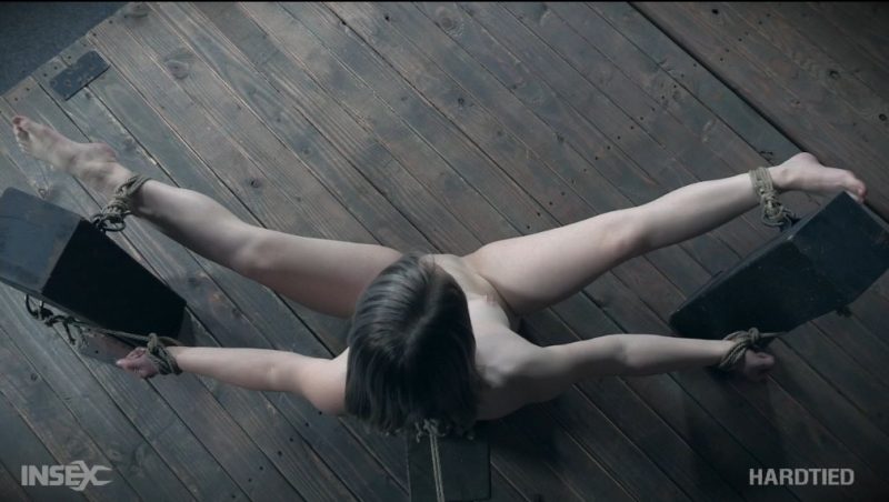 【欧美绳艺】无法逃脱的游戏-逍遥自在