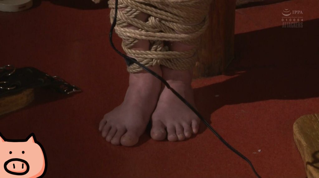 20251027221907753-4_副本