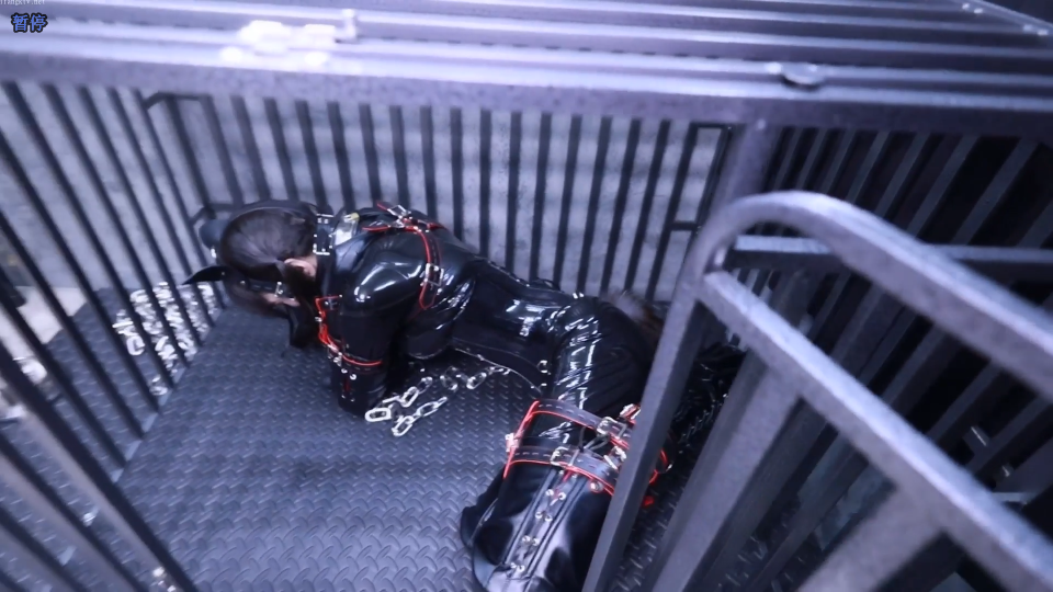 20251027233445791-Snipaste_2025-10-27_17-57-41