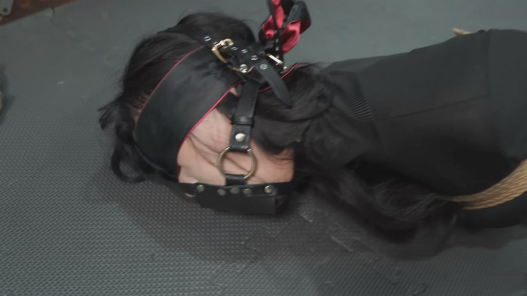 试炼工作室定拍————倩倩紧密驷马捆绑+郊狼-逍遥自在