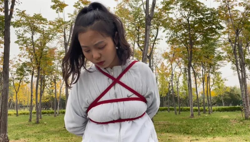 龙飞 公园直播 捆绑 让被绑者丢人现眼 路人异样的眼光观看心理激动刺激-逍遥自在