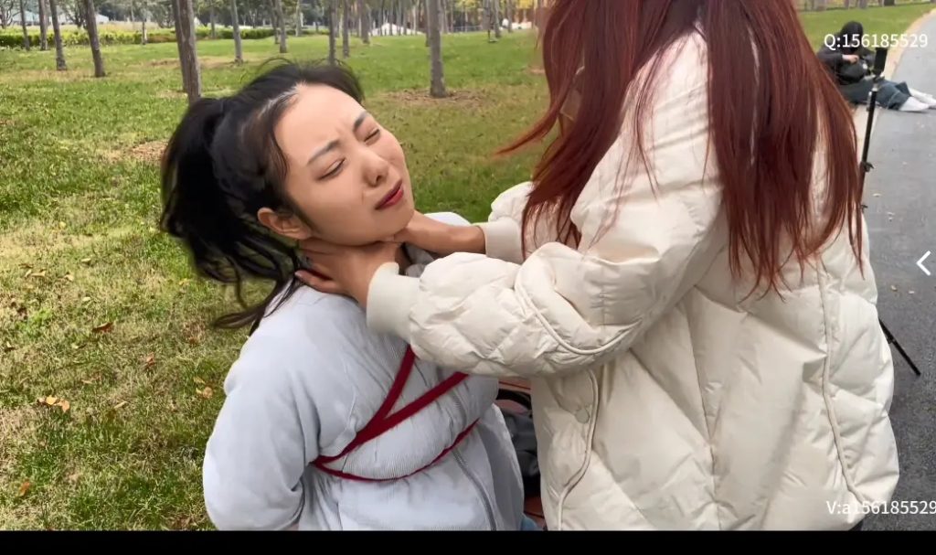 20251029121320656-e540c67877fff9d05f31c7a9ab89a397