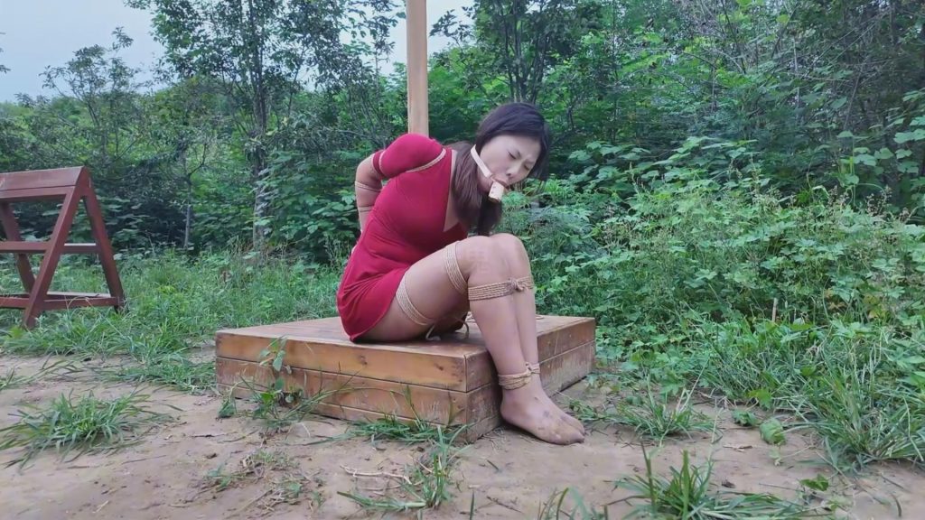 20251031071340197-20251030_132901_19954