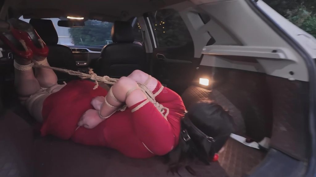 20251031071348832-20251030_132853_11916