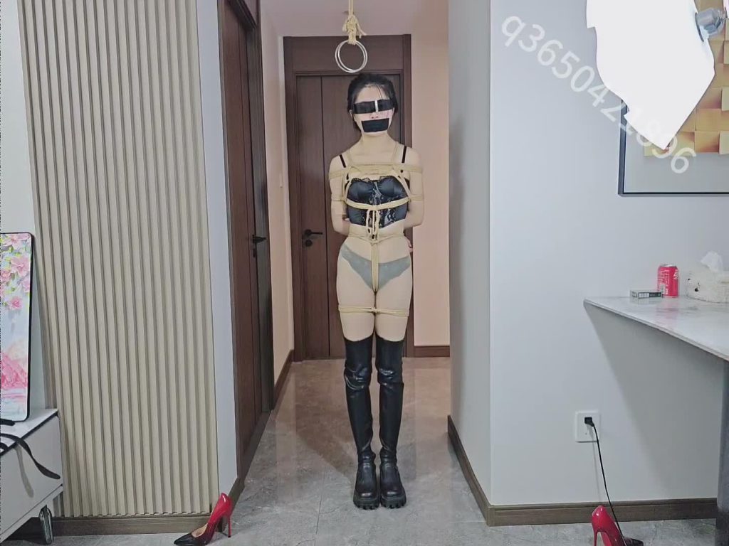 20251105145850270-XFpicture04773