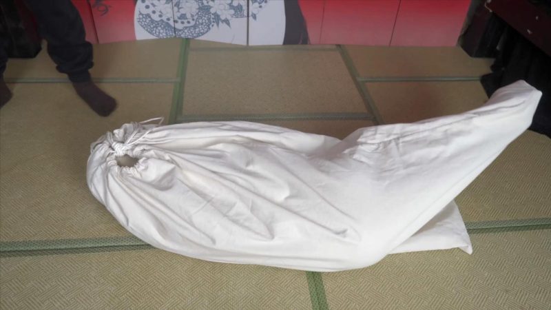 象人定拍-嗷嗷&小0&月亮-缅北奇异冒险，梦境剧情向 1H！-逍遥自在