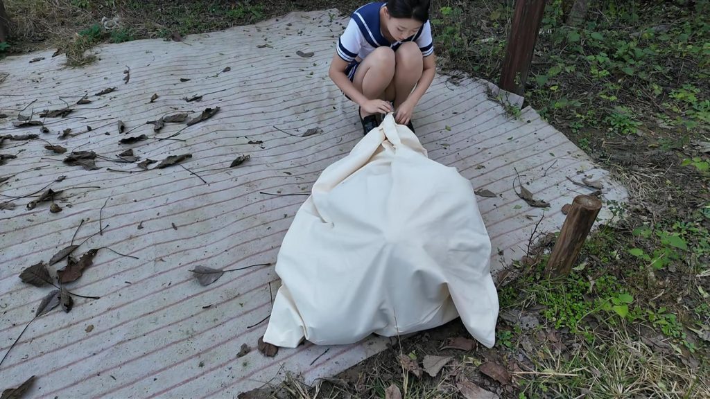 20251108160204359-20251108_095105_11029