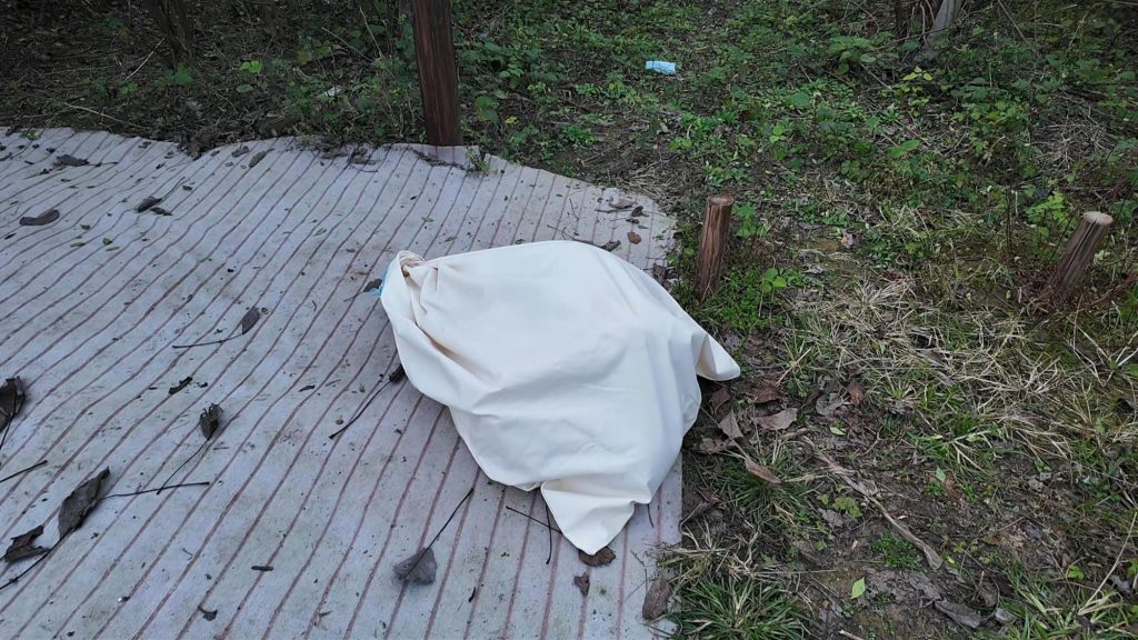 李大侠原创 老师与学生之愤怒的老爸-逍遥自在