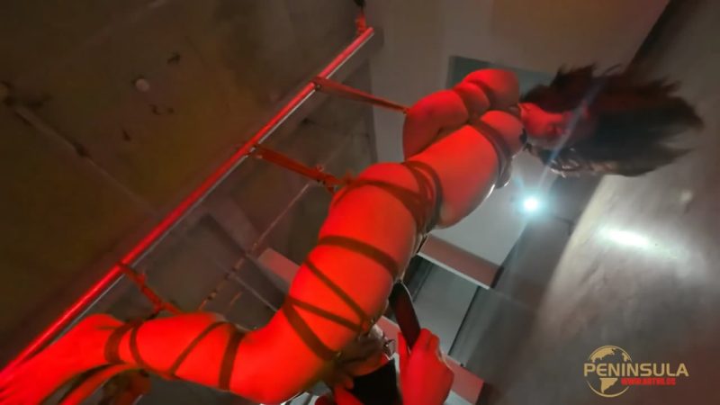 【半岛束艺台】【落叶】YT2991 Orgasm不分场合-逍遥自在