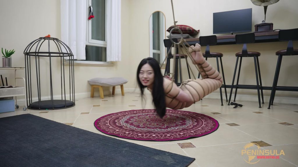 20251112112201253-XFpicture30290