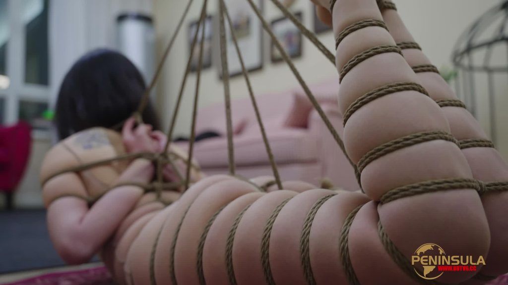 20251112112202674-XFpicture07904