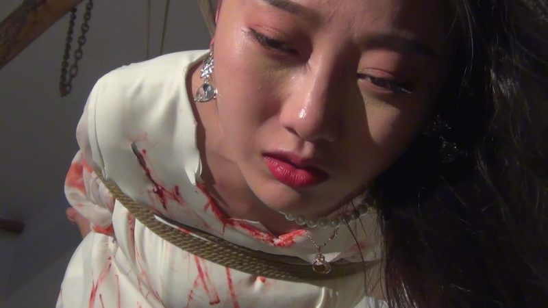 新胭脂扣 缉毒战线（易芝版 超高清版）-逍遥自在