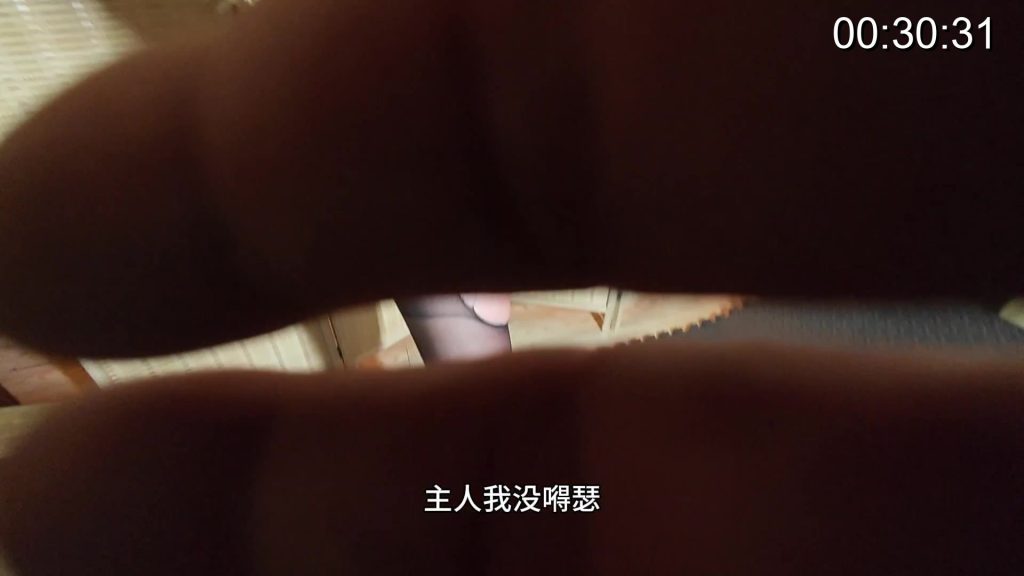 20251114103355734-20251113_160211_11732