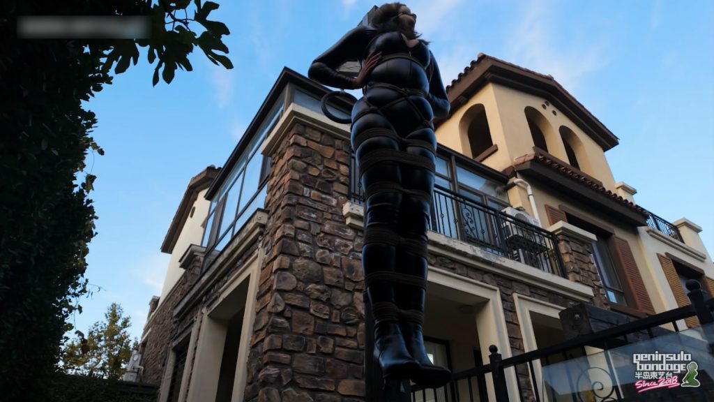 【半岛束艺台】【波雅】YT3003 波雅受难记-逍遥自在