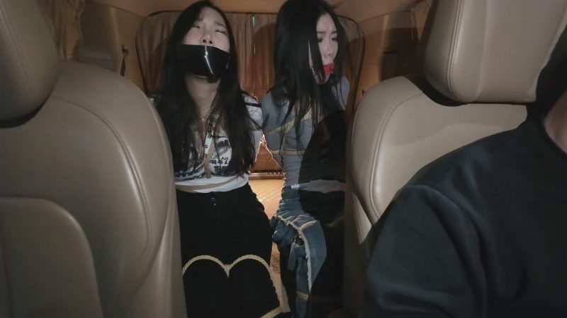 枫叶工作室 不劳而获之绑 上-逍遥自在