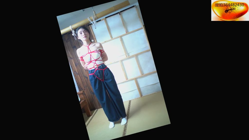 20251121150402807-XFpicture33305