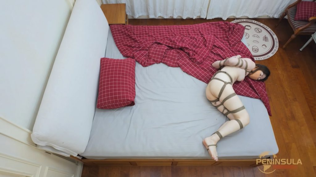 20251122075206676-033425v1o738l86z3r3i5g