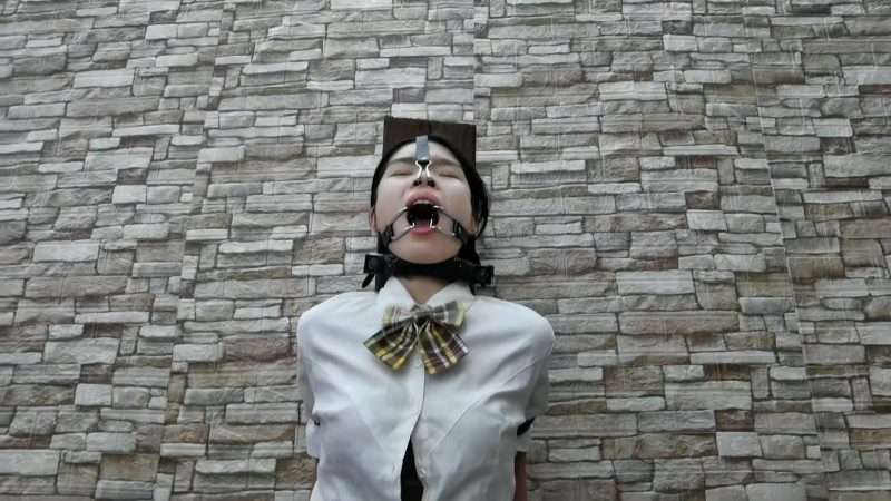 HD飞天 语涵想转正老板的正式秘书必须满足老板的要求,为了老板的爱好,那就开始-逍遥自在