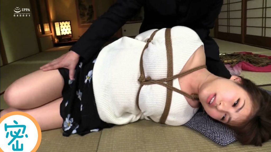 20251122202148507-9_副本