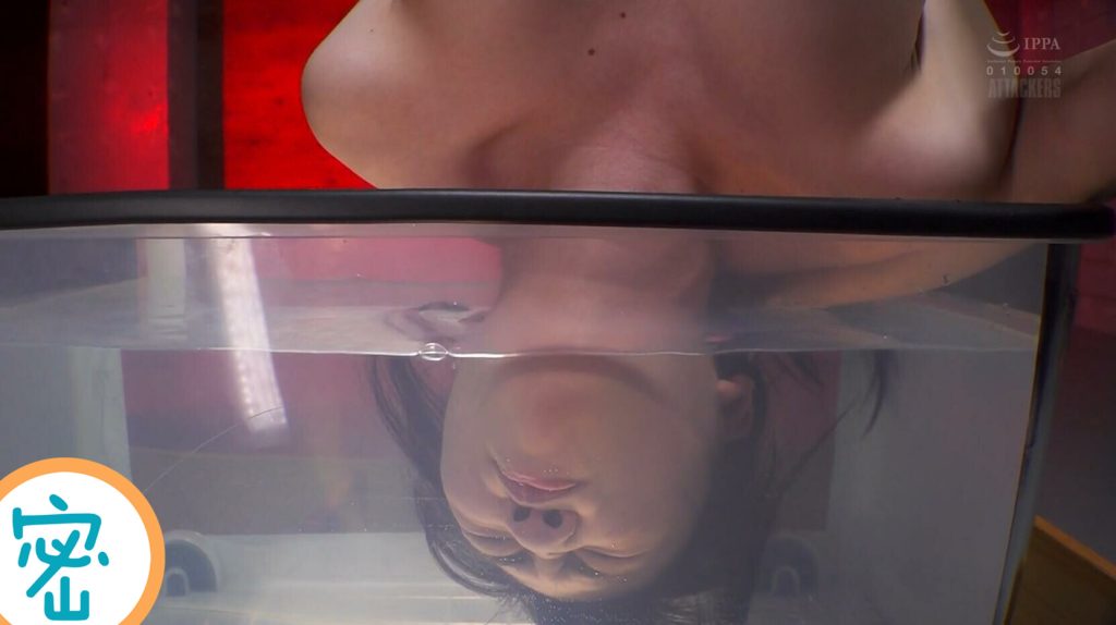 20251122202836298-9_副本